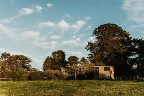 Bedervale Tiny - Accommodation Brisbane 6