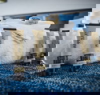 The Remington Orange - Accommodation Brisbane