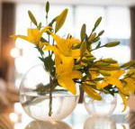 KUI Manhattan Apartments - Accommodation Brisbane