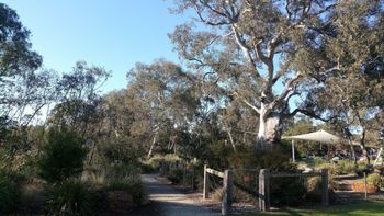 Mt Cooper Inn - Accommodation Brisbane 5