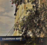 Caledonian Hotel - Accommodation Brisbane