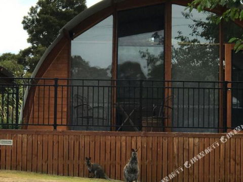 Bruny Island Accommodation 43 Degrees Beachside Studio Spa Apartments (1) - Accommodation Brisbane 1