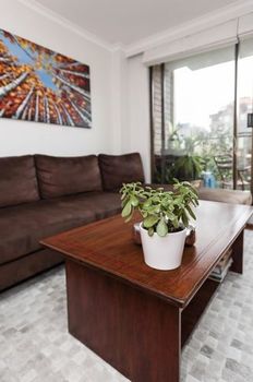 Potts Point Springfield Avenue (I) - Accommodation Brisbane 1