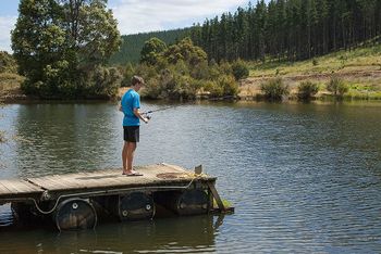 Nannup Valley Chalets - Accommodation Brisbane 1