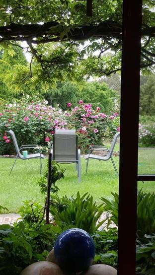 Wisteria Lodge - Accommodation Brisbane 5