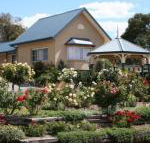 Willows Motel - Accommodation Brisbane