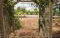 Glencoe Rural Retreat - thumb 3
