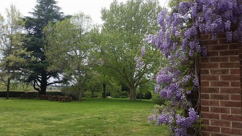 Petersons Armidale Winery & Guesthouse - Accommodation Brisbane 0
