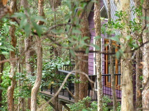 Amytis Gardens Retreat & Day Spa - Accommodation Brisbane 1