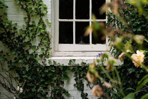 Fitzpatrick's Inn - Accommodation Brisbane 0