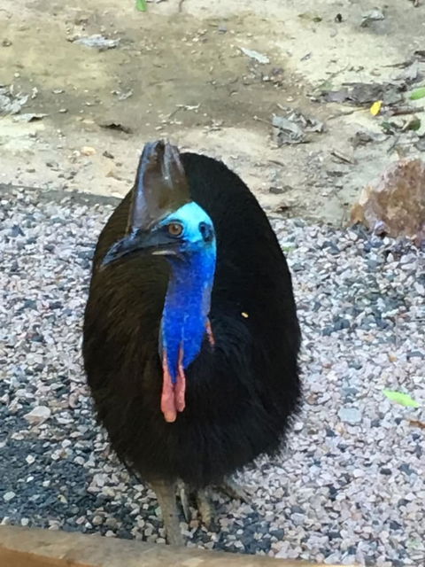 Licuala Lodge - Accommodation Brisbane 0