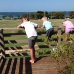 Beachend Bicheno - Accommodation Brisbane 0