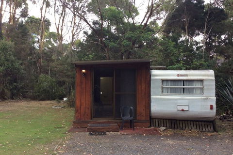 Crayfish Creek Van & Cabin Park - Accommodation Brisbane 1
