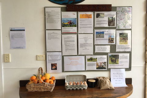 Alstonville Country Cottages - Accommodation Brisbane 5