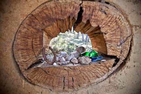 Snowy Wilderness - Accommodation Brisbane 1