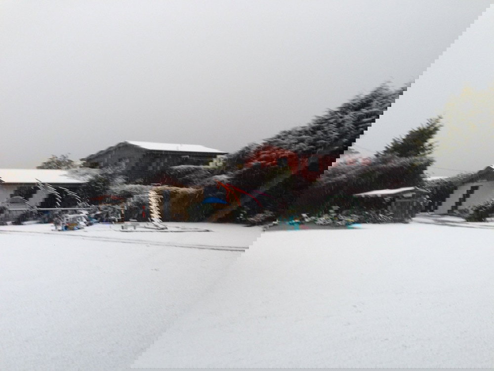 Promised Land TAS Accommodation Brisbane