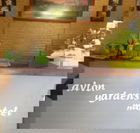 Avlon Gardens Motel - Ballina - Accommodation Brisbane