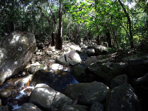 Mungumby Lodge - Cooktown - Accommodation Brisbane 2