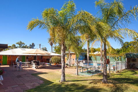 Alice Lodge Backpackers - Accommodation Brisbane 3