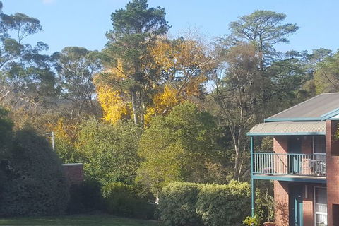 Hepburn Springs Motor Inn - Accommodation Brisbane 5