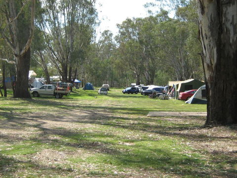 Rivergum Holiday Park - Accommodation Brisbane 4