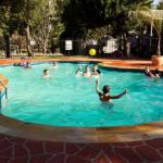 Rivergum Holiday Park - Accommodation Brisbane 0