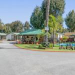 Mandurah Caravan & Tourist Park - Accommodation Brisbane 1