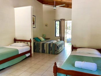 Lync Haven Rain Forest Retreat - Accommodation Brisbane 6