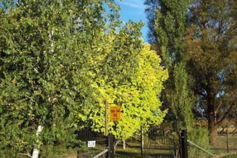 Ophir Gold Bed & Breakfast - Accommodation Brisbane 2