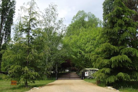 Ophir Gold Bed & Breakfast - Accommodation Brisbane 0