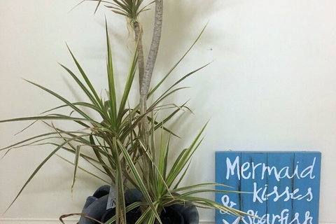 Al Mare Beachfront Retreat - Accommodation Brisbane 2