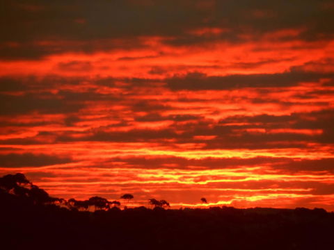 Tennessee Hill Chalets - Accommodation Brisbane 0