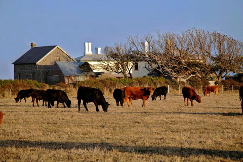 Cable Station Accommodation - Accommodation Brisbane 5