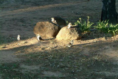 Riverview Motel Deniliquin - Accommodation Brisbane 2