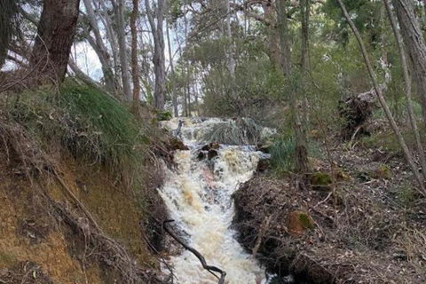 Donnelly Lakes - Accommodation Brisbane 5