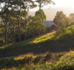 Bundle Hill Cottages - Accommodation Brisbane