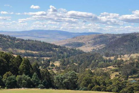 Sassafras Springs - Accommodation Brisbane 6