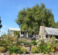 Sassafras Springs - Accommodation Brisbane