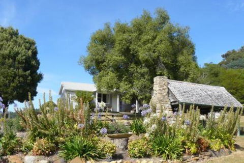 Sassafras Springs - Accommodation Brisbane 0