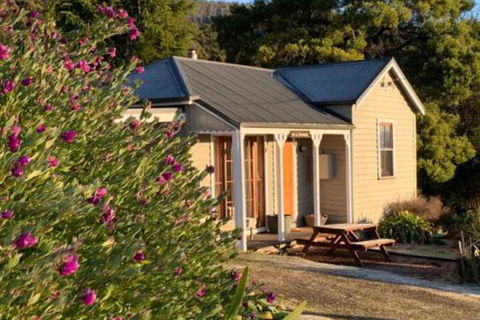Sassafras Springs - Accommodation Brisbane 5