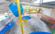 BIG4 Deniliquin Holiday Park - thumb 1