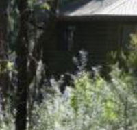 Twin Falls Bush Cottages - Accommodation Brisbane