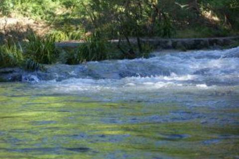 Havans Ecotourist Retreat - Accommodation Brisbane 2