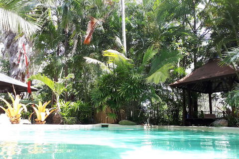 Alaya Escape - Accommodation Brisbane 5