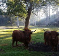 Dingley Dell - Accommodation Brisbane