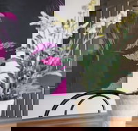 Birdie - Accommodation Brisbane