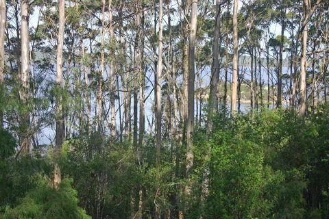 Honeymoon View - Accommodation Brisbane 7