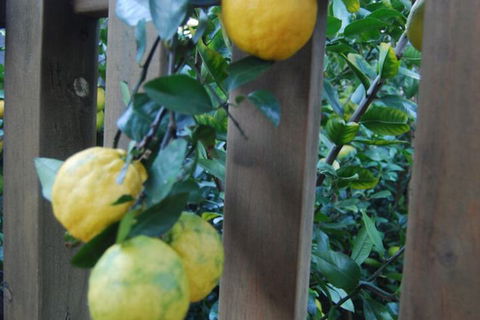 Highclaire House Bed & Breakfast - Accommodation Brisbane 1