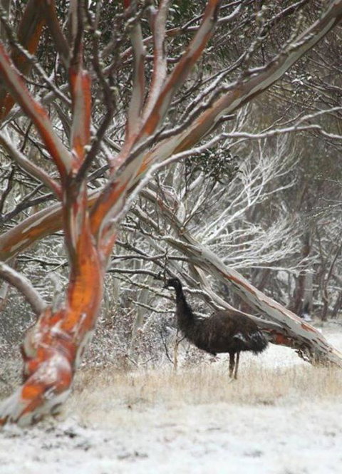 Cape Cod - Accommodation Brisbane 3