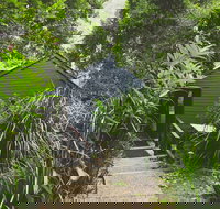 Montagues of Montville - Accommodation Brisbane